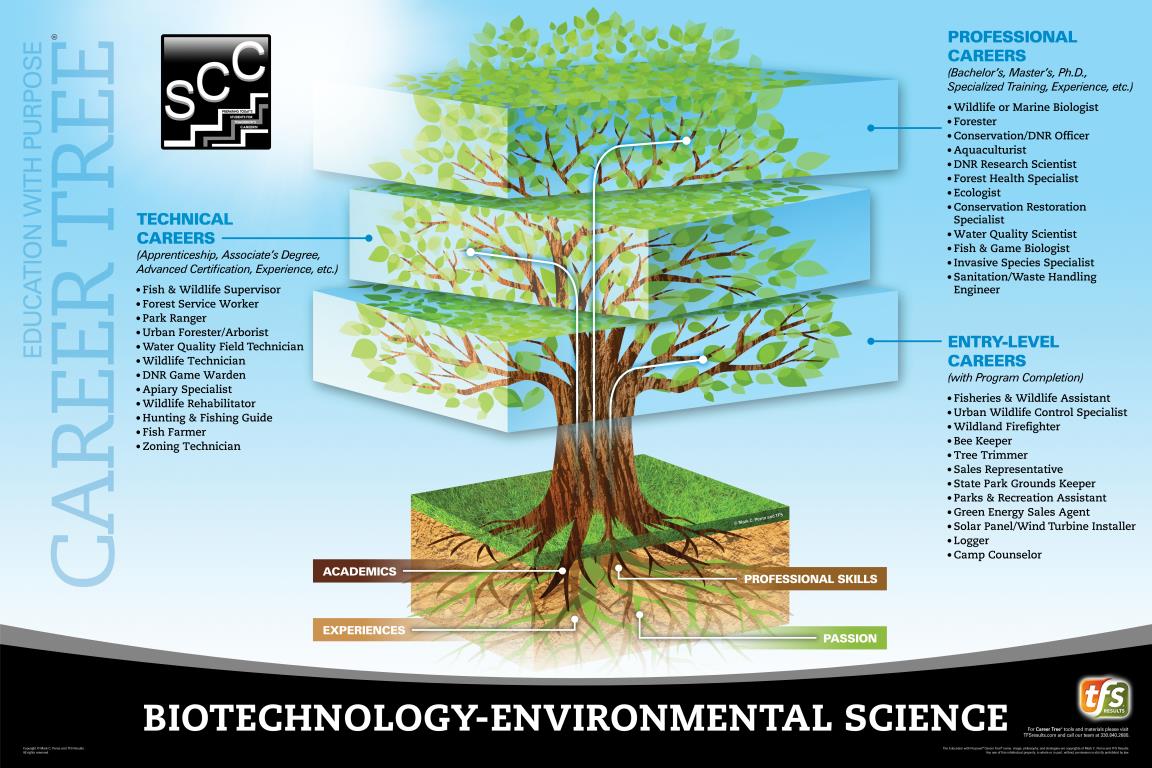 BioTechnology Environmental Career Tree